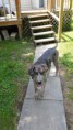 /album/photo-gallery/roscoe-jpg/